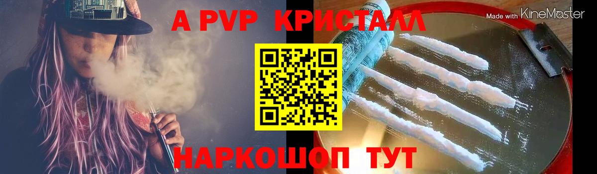A PVP СК Протвино