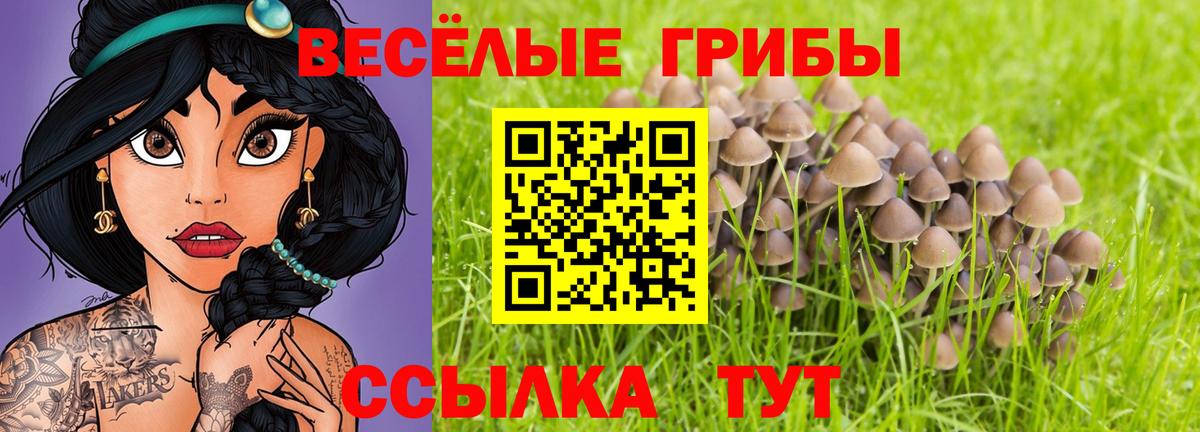 Галлюциногенные грибы прущие грибы Протвино